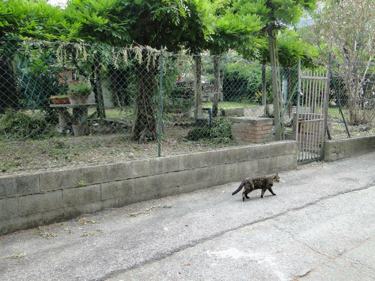 Via Del Toppo, 4 Perugia Bagian luar foto